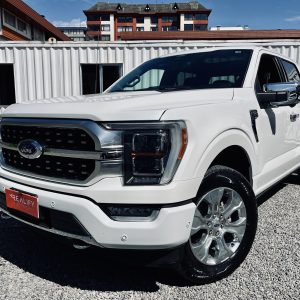 FORD F-150 PLATINUM 4X4 AT10